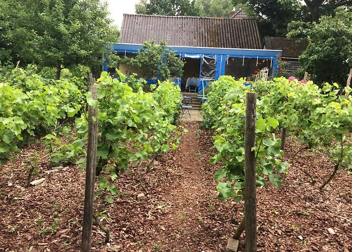 Pensión Bed And Garden Alde Coninckshof Weurt