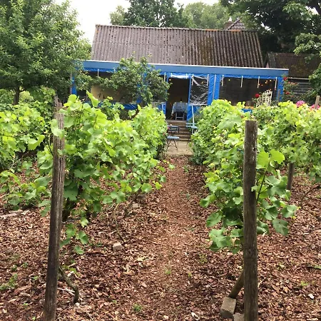 בית הארחה Bed And Garden Alde Coninckshof Weurt