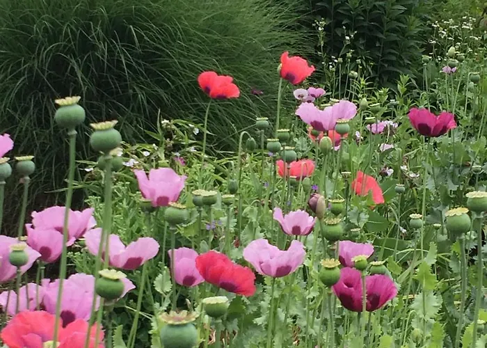 招待所 Bed And Garden Alde Coninckshof Weurt